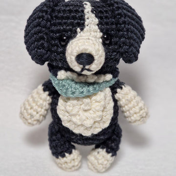 Border Collie Dog