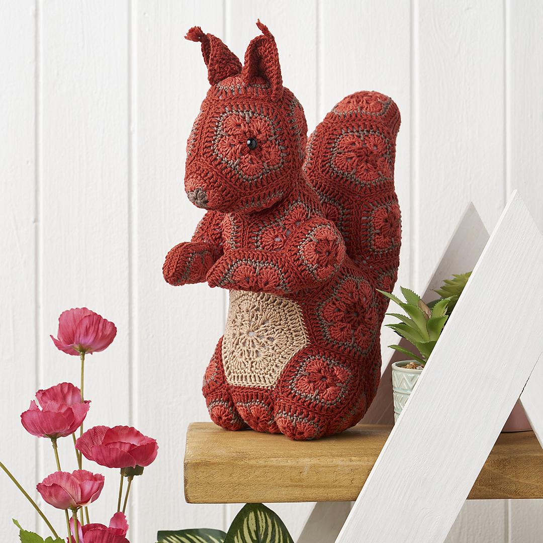 African Flower Squirrel