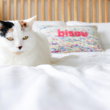 Bisou Pillow