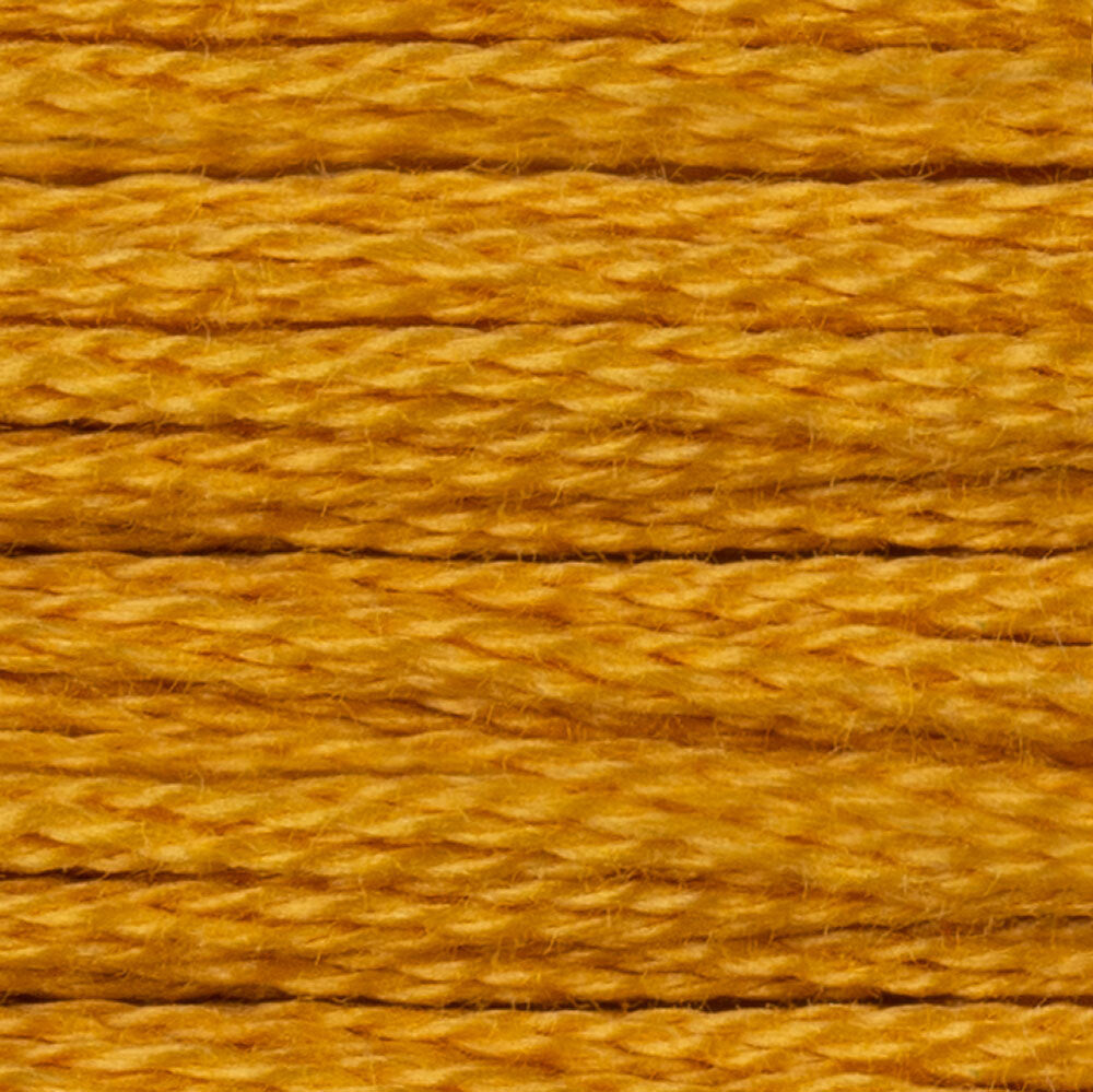 DMC Stranded Cotton - Warm Shades