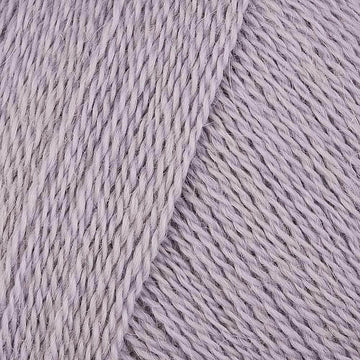 Cobweb (922)