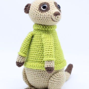 Simeon the Meerkat