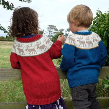 Reindeer Jumper for Children in Sport or DK