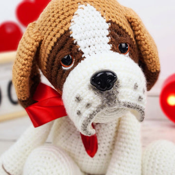 Lola the Saint Bernard