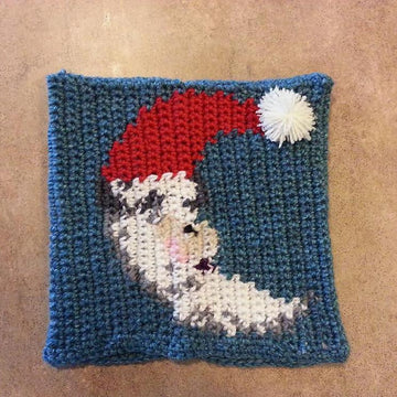 Graphed Beanie - Ugly Christmas Sweaters