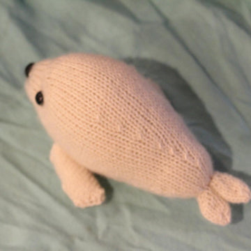 Harp Seal