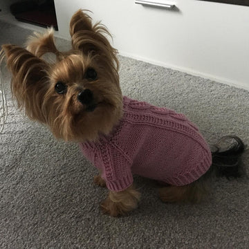 Pink Dog Sweater