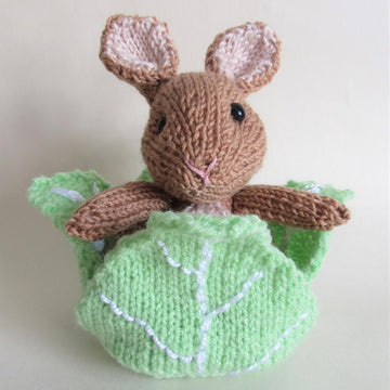Rabbit in the Lettuce Chocolate Orange Cover Easter