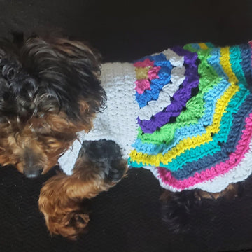 Mandala Dog Dress