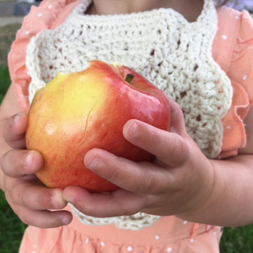 Apple Blossom Bib