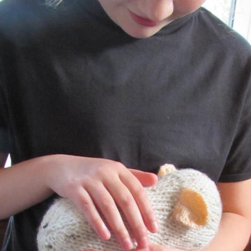 Guinea Pig Toy