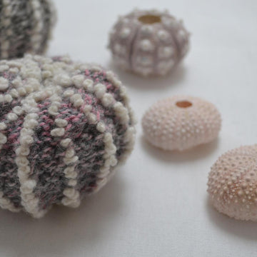 Sea Urchin Shell