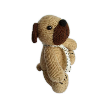 Pug Dog