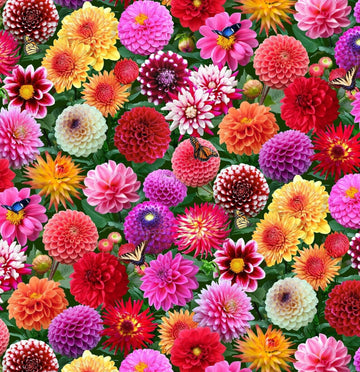 Elizabeth's Studios Burst of Color - ES662MULTI