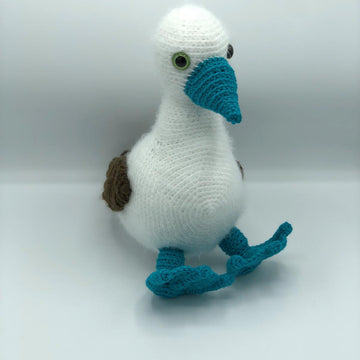 Bobby the Blue-footed Booby