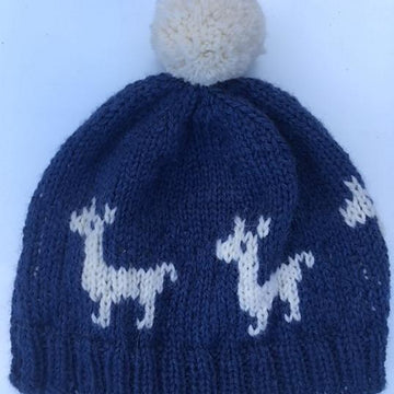 Child Alpaca Hat