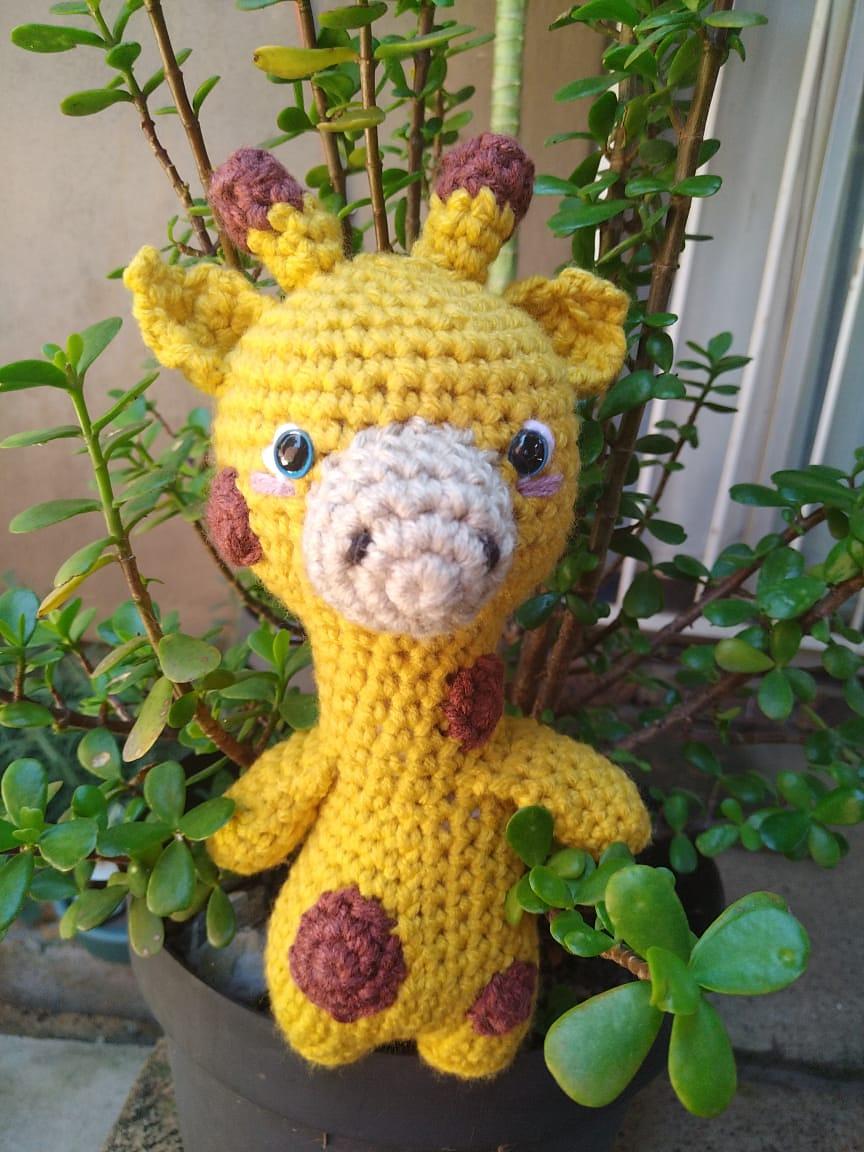 Jabula Giraffe
