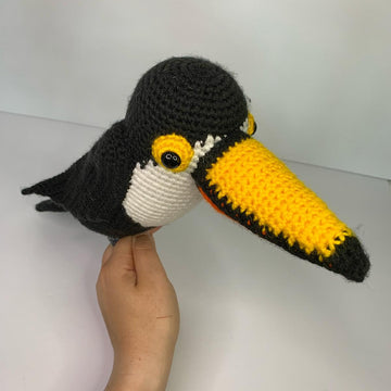 Terri the Toucan