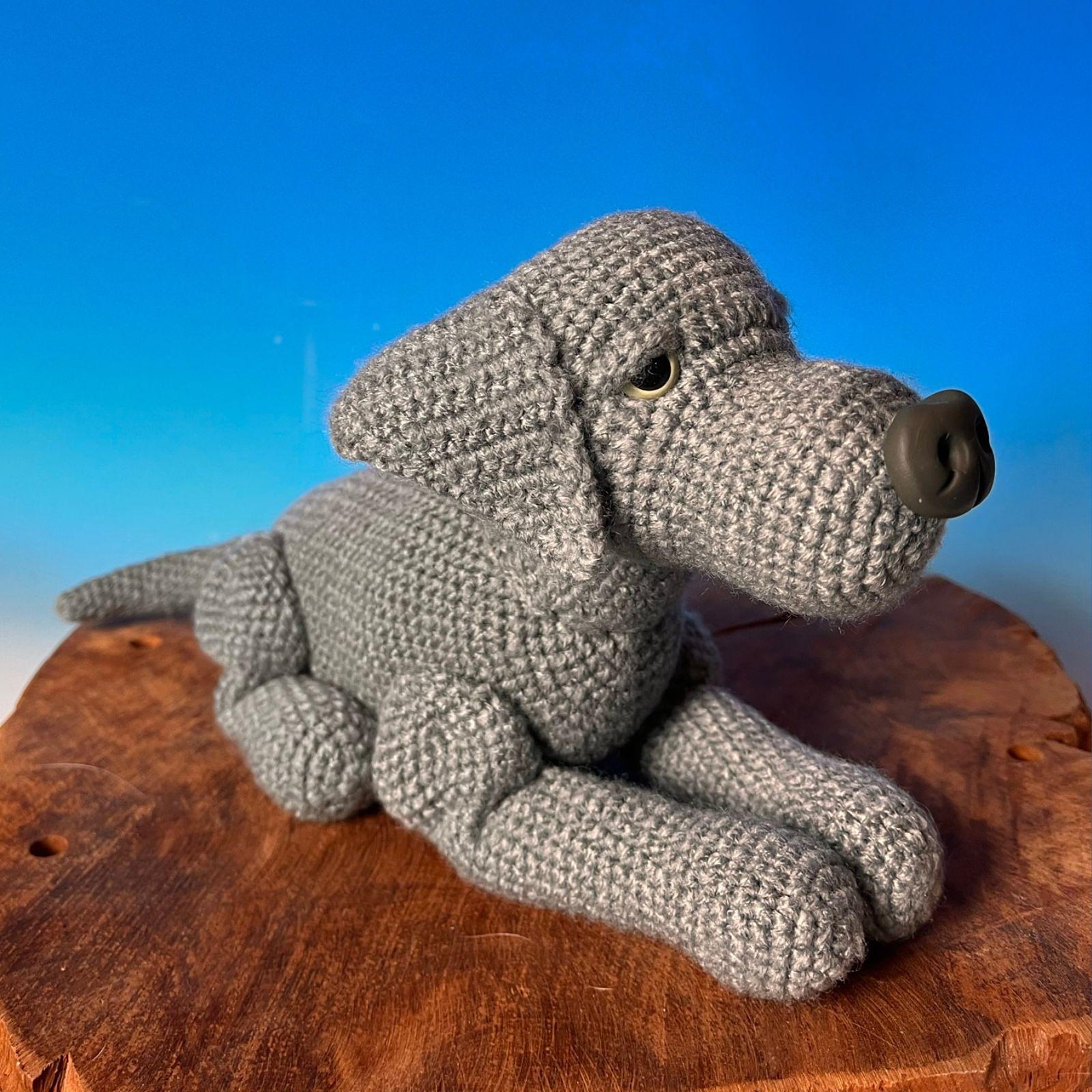 Labrador liegend