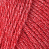 Tomato (4551)