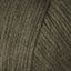 Canopy (254)