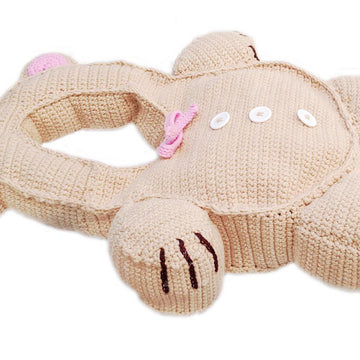 Teddy Bag