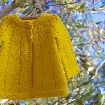 Lemon Slice