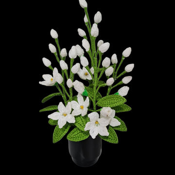 Jasmine flowers