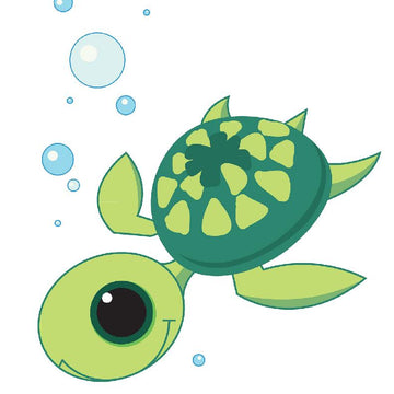Marty The Sea Turtle