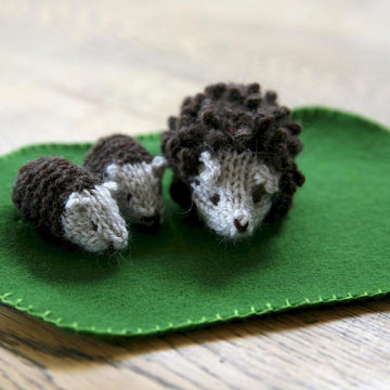 Hedgehogs in a Box