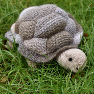 Tortoise