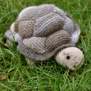 Tortoise
