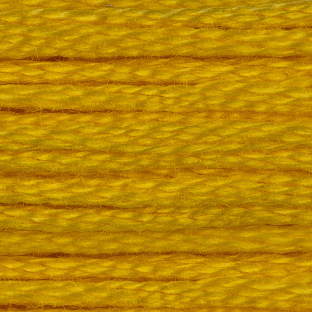 DMC Stranded Cotton - Warm Shades