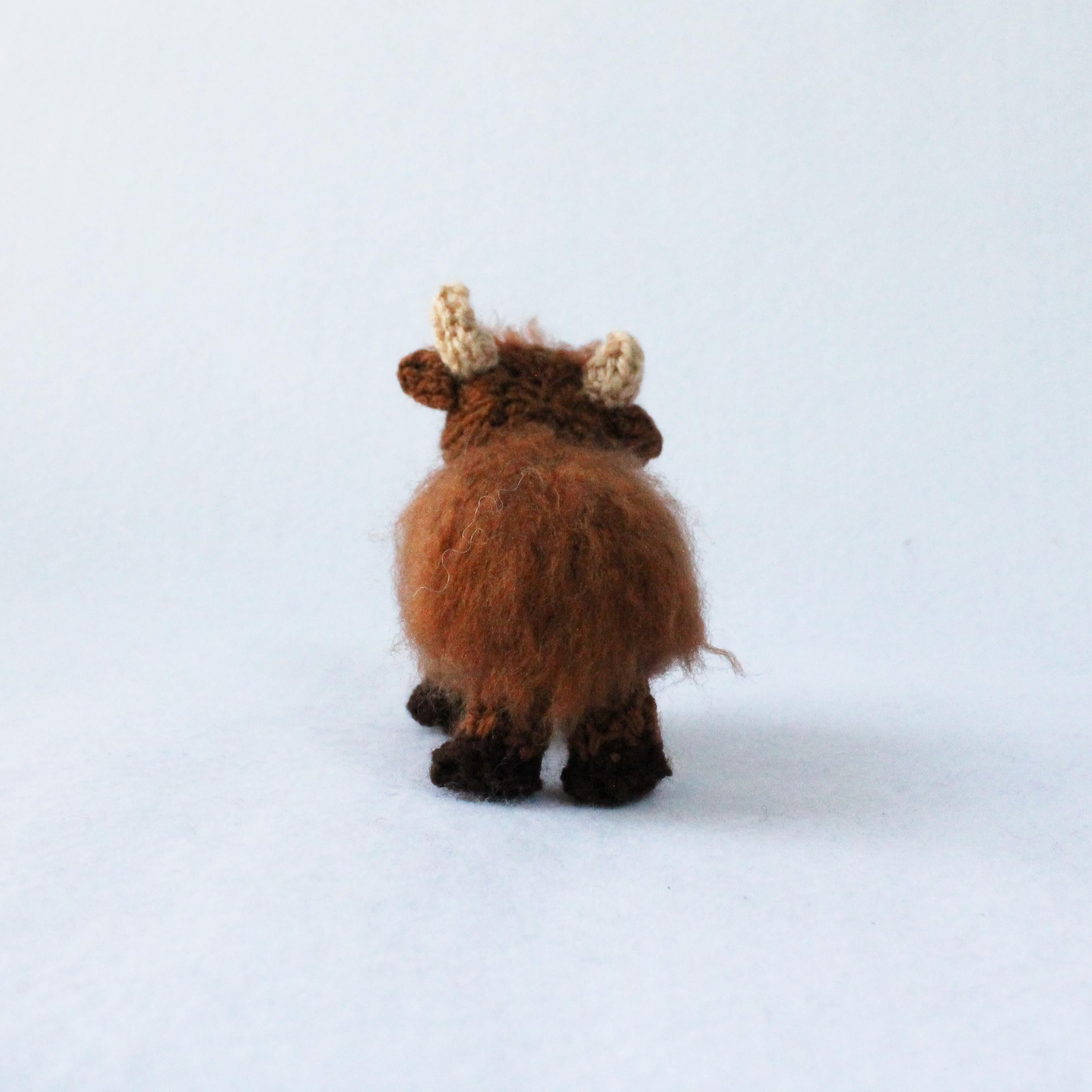 Mini Highland Cows