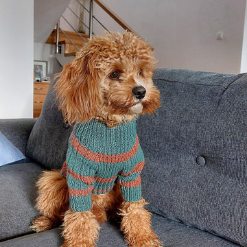 Dog Sweater Charlie No.2