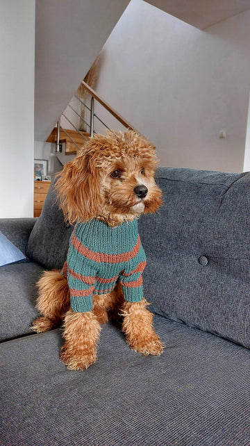 Dog Sweater Charlie No.2
