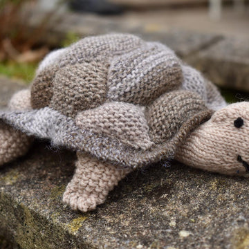 Tortoise