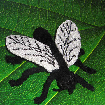 Not So Common House Fly