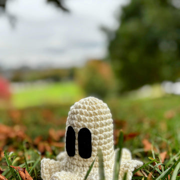 Basic Boo