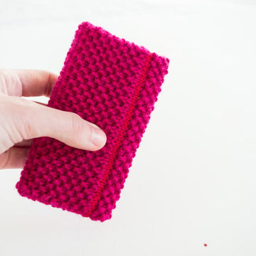 The Apple Pocket