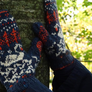 Wild Swans at Coole Mittens