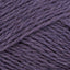 Purple (0610)