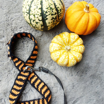 Halloween Dog Harness