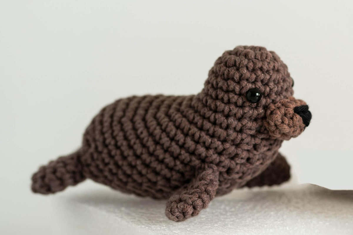 Baby Walrus Wally