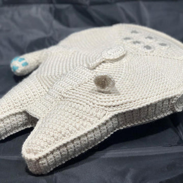 The Piece of Junk (Millennium Falcon)