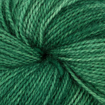 Green Light (19)