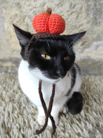 Pumpkin Cat Hat – Crochet