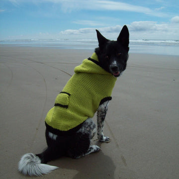 Canine Hoodie