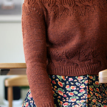 Cinnamomum pullover