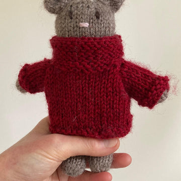 Little Bear in Jumper